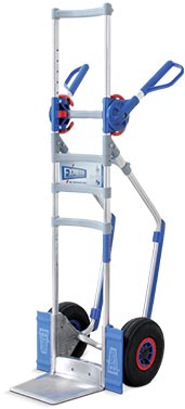 Cliquer pour zoomer